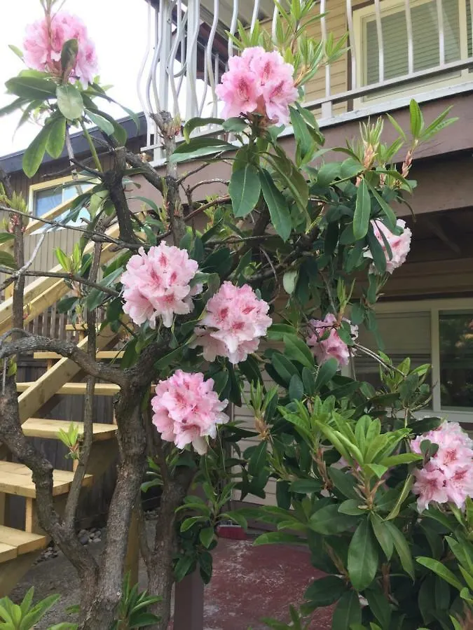 Orchid House Near Vancouver Yvr Airport Richmond Bed & Breakfast